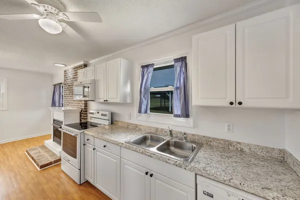 a view of a big yard with large trees