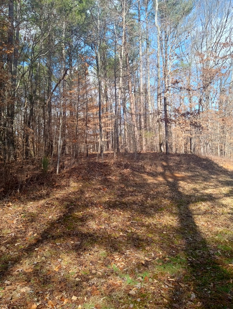500 Jackson Kinnamon Road Chatsworth, GA 30705 - Photo 17 of 18 Gallery Image 17