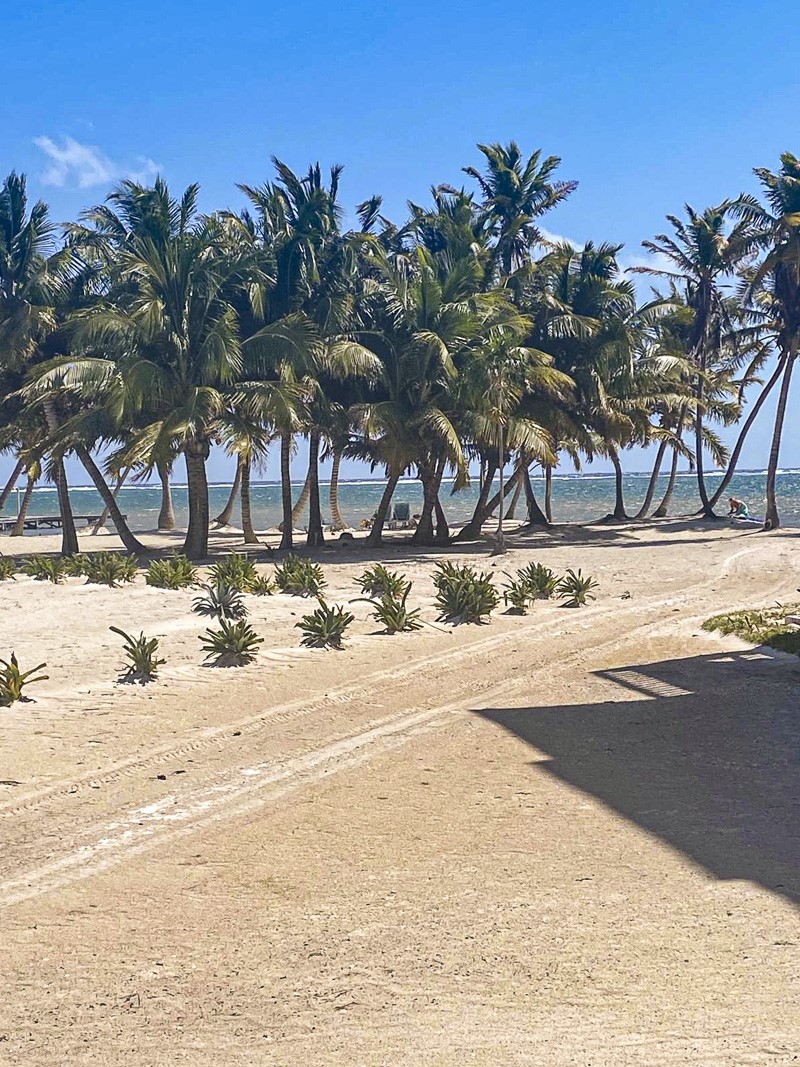 0 Sapphire Beach, Unit 17C2 Robstown, TX 78380 - Photo 11 of 12 a view of a backyard of a house