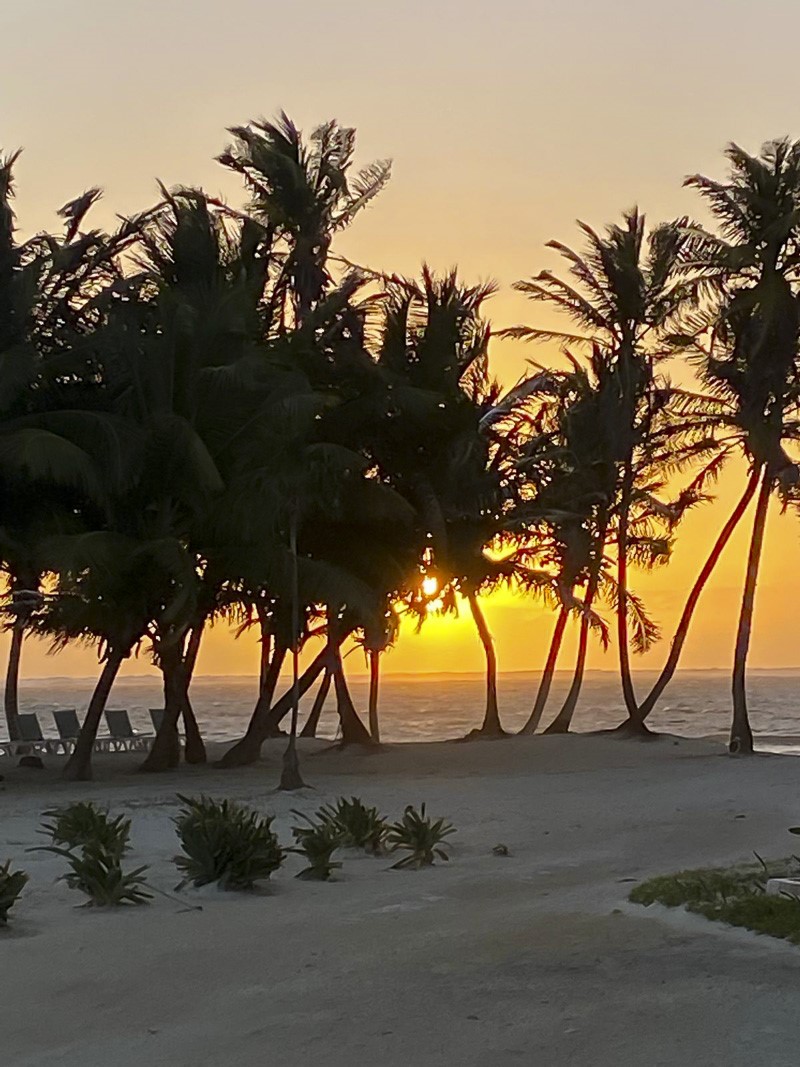 0 Sapphire Beach, Unit 17C2 Robstown, TX 78380 - Photo 3 of 12 a view of outdoor space with lots of trees