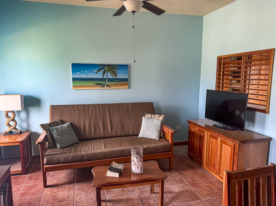 0 Sapphire Beach, Unit 17C2 Robstown, TX 78380 - Photo 5 of 12 a living room with furniture a flat screen tv and a window