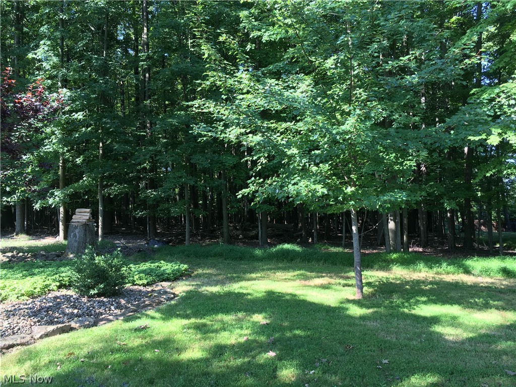 12816 Falling Water Road Strongsville, OH 44136 - Photo 4 of 16 Gallery Image 4