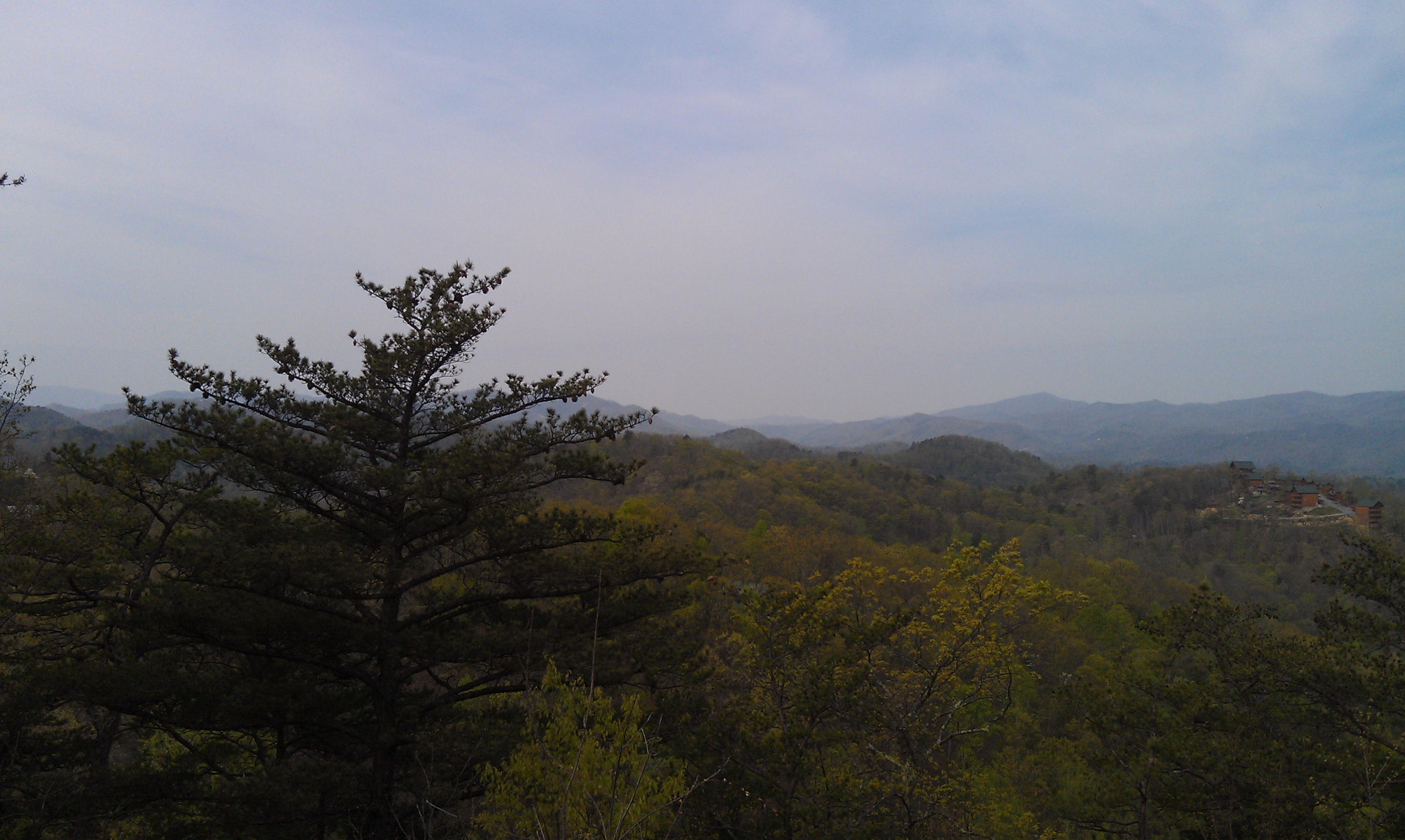 3138 Engle Town Road Sevierville, TN 37862 - Photo 8 of 15 2012-03-28 10