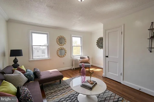a living room with furniture a rug and a window