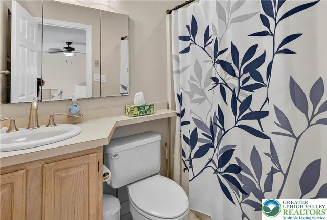 a bathroom with a sink mirror vanity and toilet