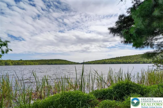 a view of field with grass and trees