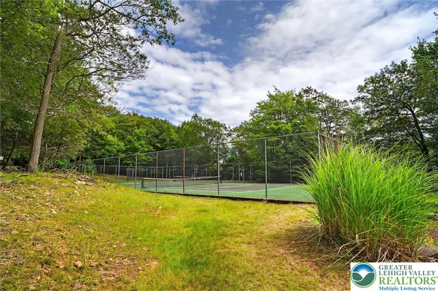 a view of a garden with a tree