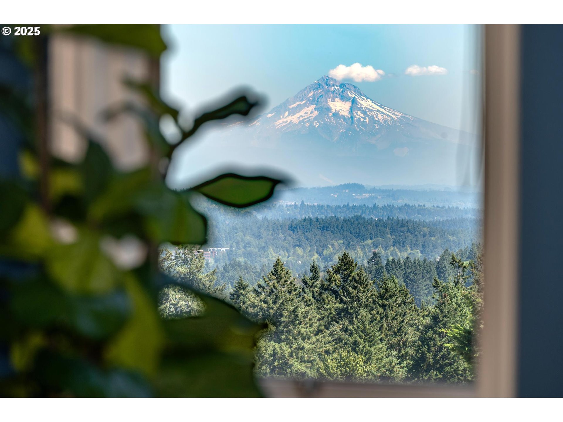 13441 Southwest Mountain Ridge Court Portland, OR 97224 - Photo 27 of 48 View