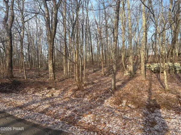 $35,000 | Lot 39 Acres Drive, Dingmans Ferry, PA 18328