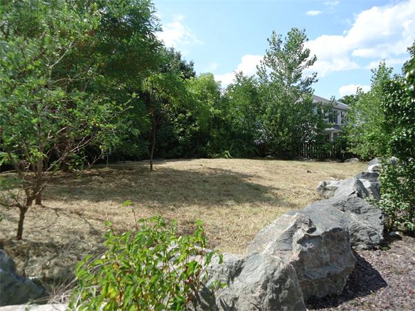 0 Ridge Road Revere, MA 02151 - Photo 2 of 5 a view of a yard with a tree