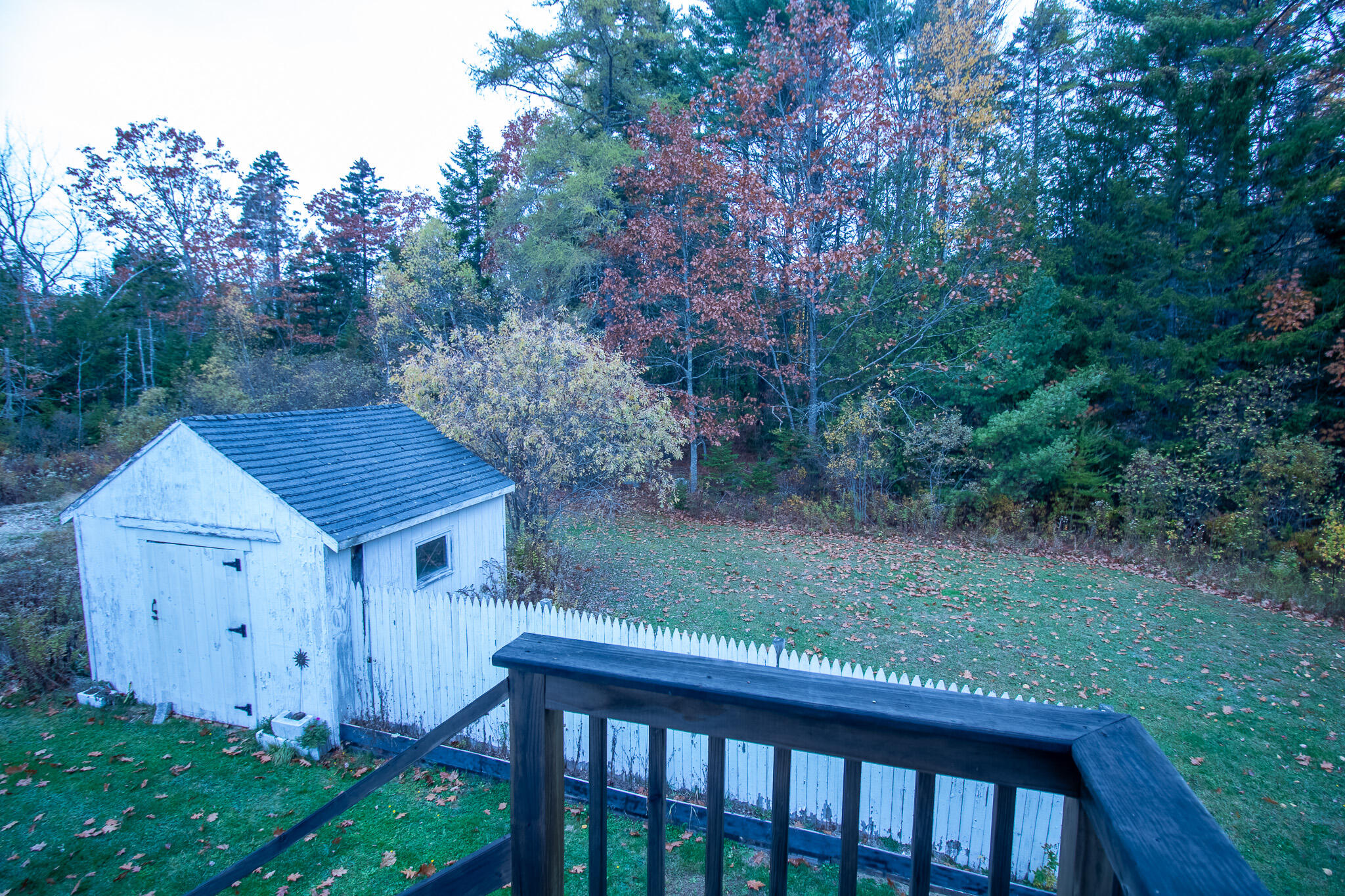 10 Jones Way Sullivan, ME 04664 - Photo 58 of 63 Shed