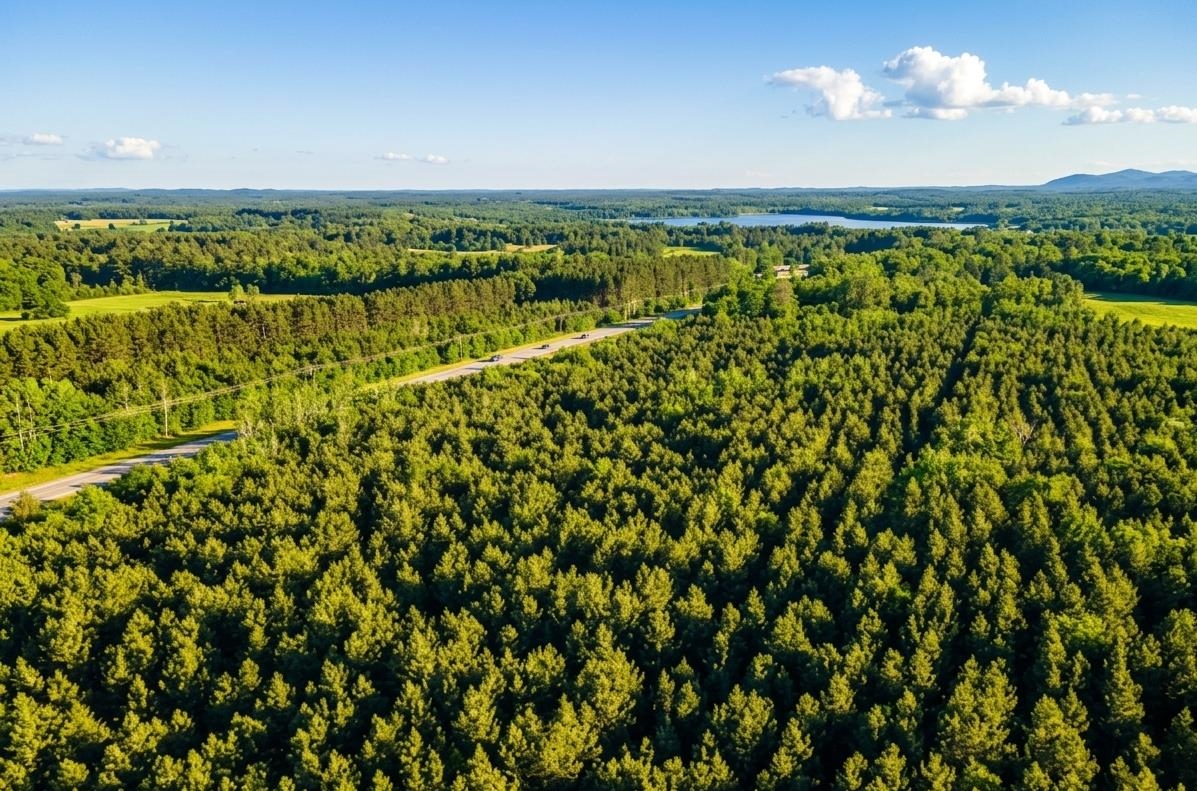 Lot 4 11th Friendship, WI 53934 - Photo 2 of 26