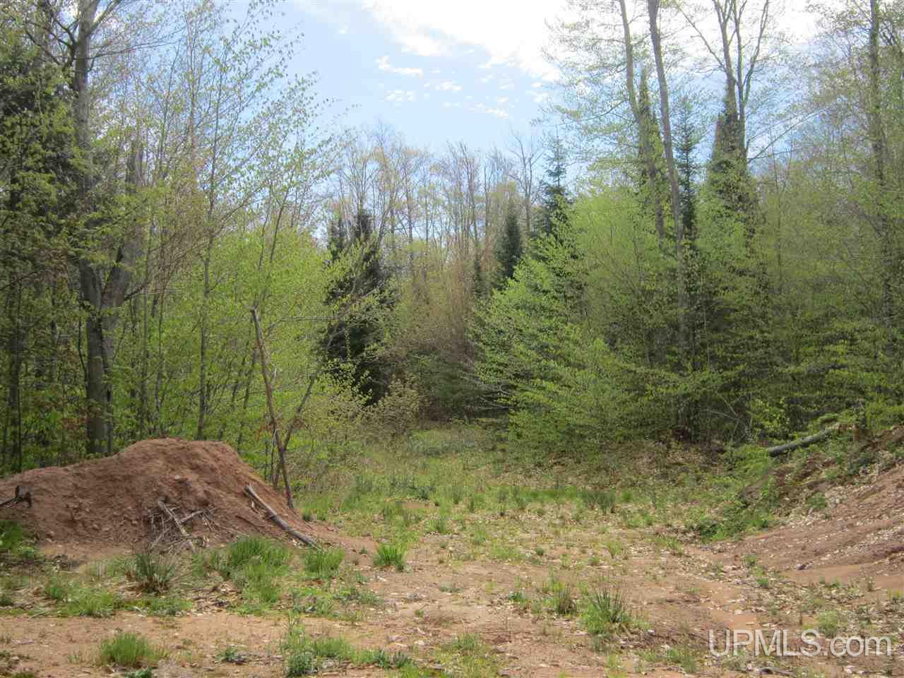 Lot 5 Ridge Road Munising, MI 49862 - Photo 1 of 2 Gallery Image 1
