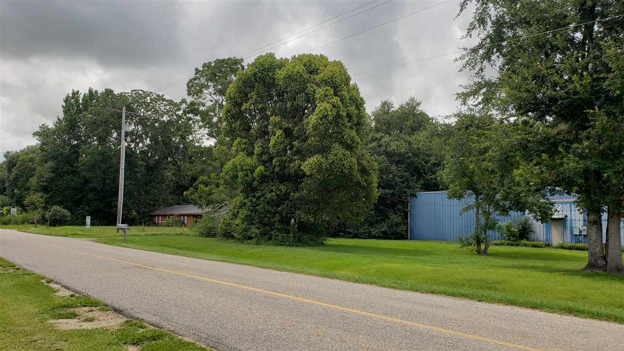 3420 Highway 59 Foley, AL 36535 - Photo 3 of 5