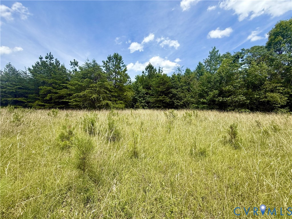 Lot 25 Whispering Wood Road Meherrin, VA 23954 - Photo 5 of 13