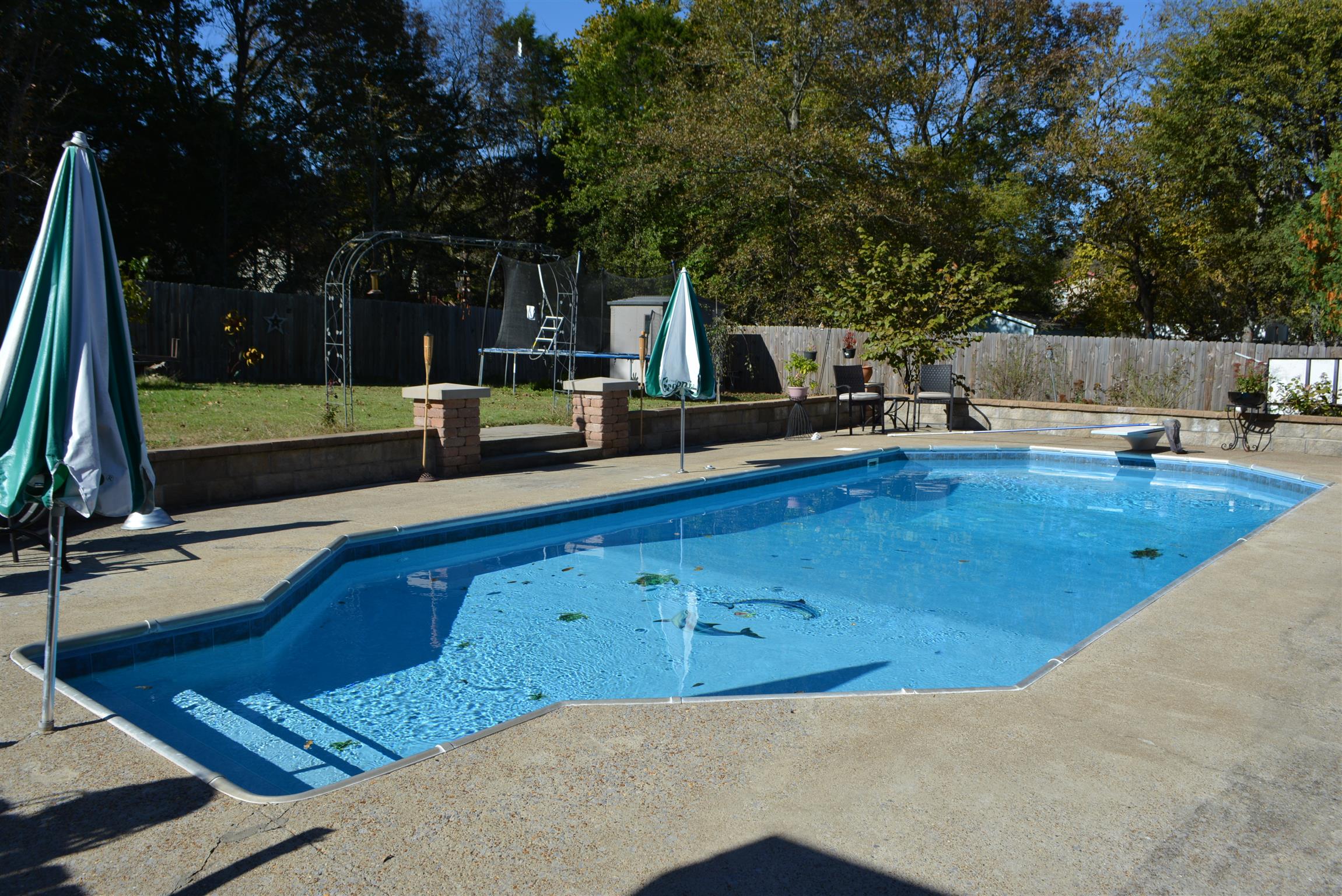 543 Rural Hill Road Nashville, TN 37217 - Photo 25 of 29 Easy to maintain salt waster pool