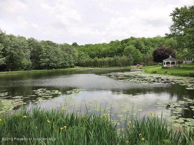 3441 Madisonville Road Moscow, PA 18444 - Photo 2 of 28 a view of a lake in between two large trees