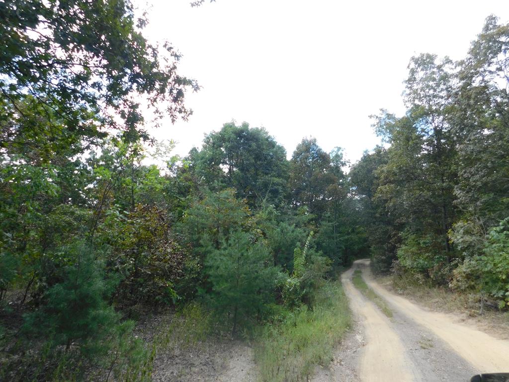 0 Wrangletown Road Shirleysburg, PA 17260 - Photo 26 of 28 Gallery Image 26