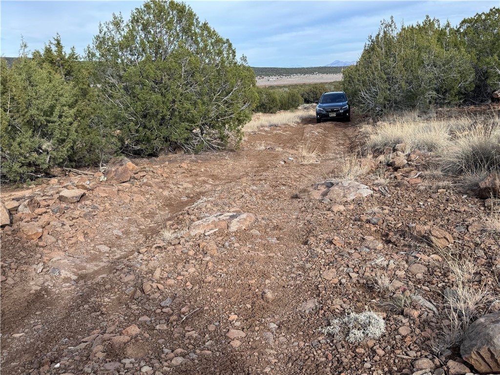 34745 West Running Shadow Road Seligman, AZ 86337 - Photo 35 of 52