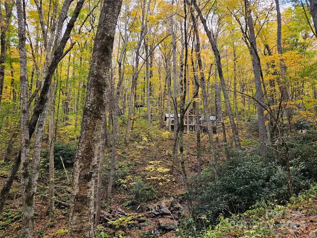 a view of a yard with a tree