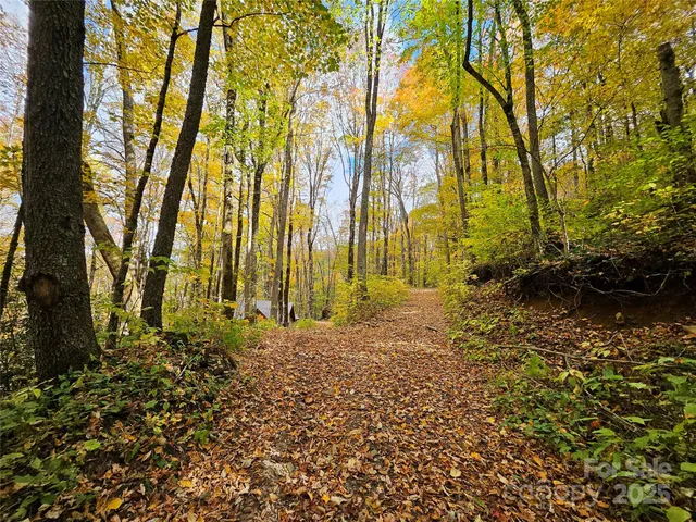 front view of a house with a yard and trees