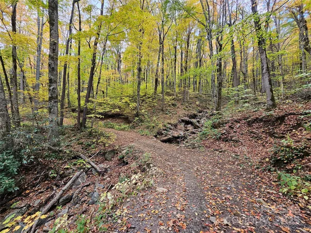 $215,000 | 25 Hollow Log Lane, Burnsville, NC 28714