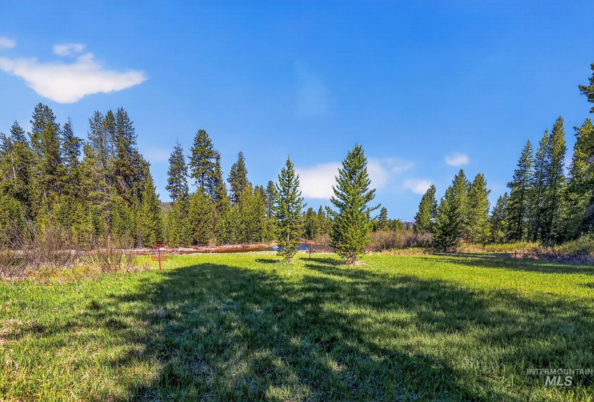 321 Secesh River Road McCall, ID 83638 - Photo 38 of 50 Expansive grassy clearing surrounded by mature evergreen trees under a bright blue sky
