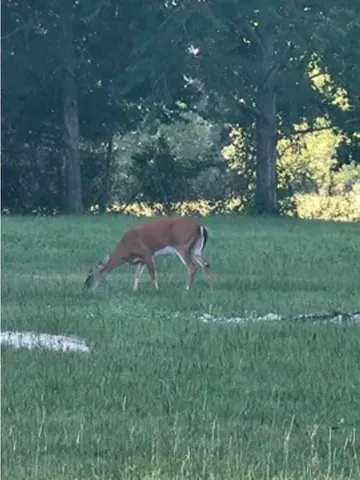 $465,000 | 777 Southwest Wacissa Terrace, Greenville, FL 32331