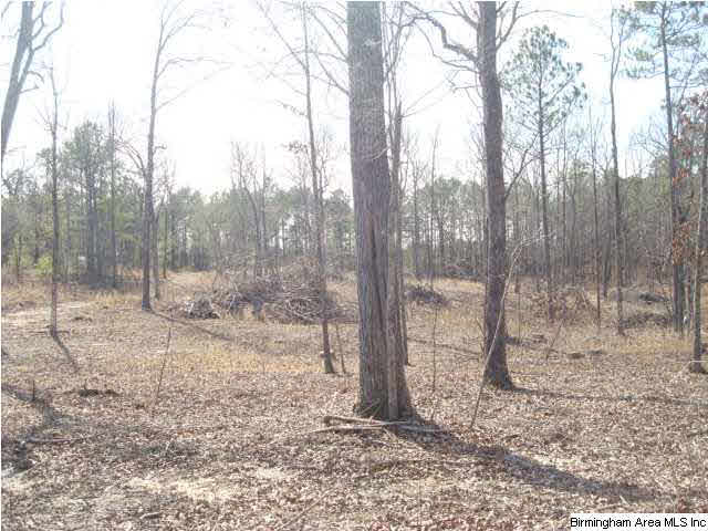 1180 Thompson Road, Unit 39 ACRES Ohatchee, AL 36271 - Photo 10 of 16