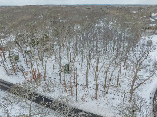 a view of a dry yard with trees