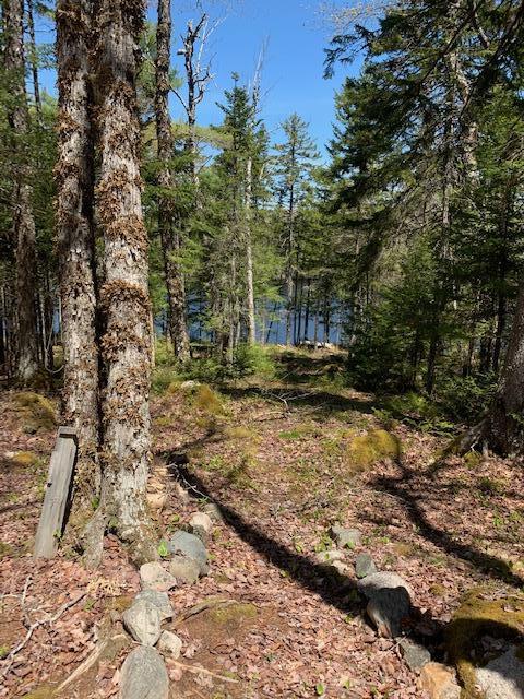 53 Sportsman's Lodge Road Machias, ME 04654 - Photo 2 of 10 Haughey 2