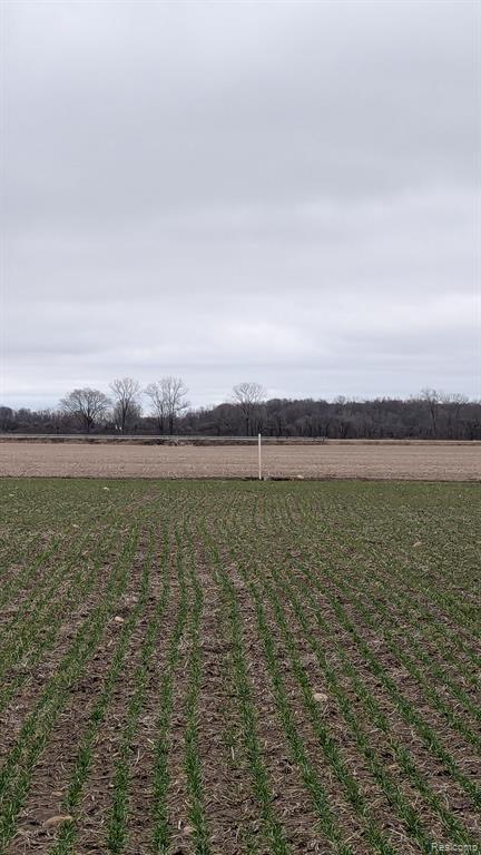 0 Holmes Road Allenton, MI 48002 - Photo 2 of 6