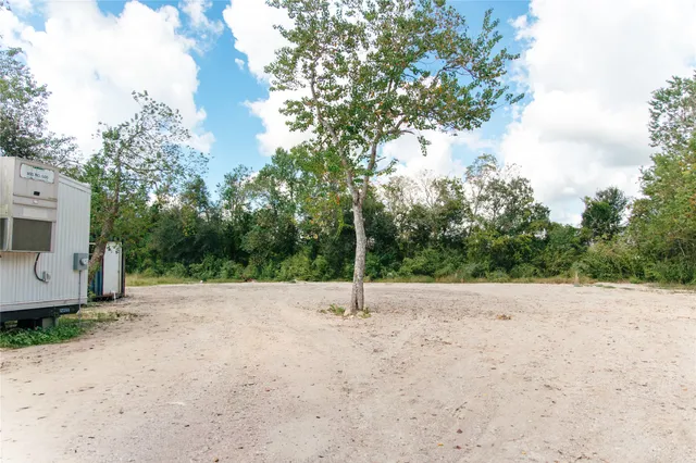 a view of flowers in backyard of house
