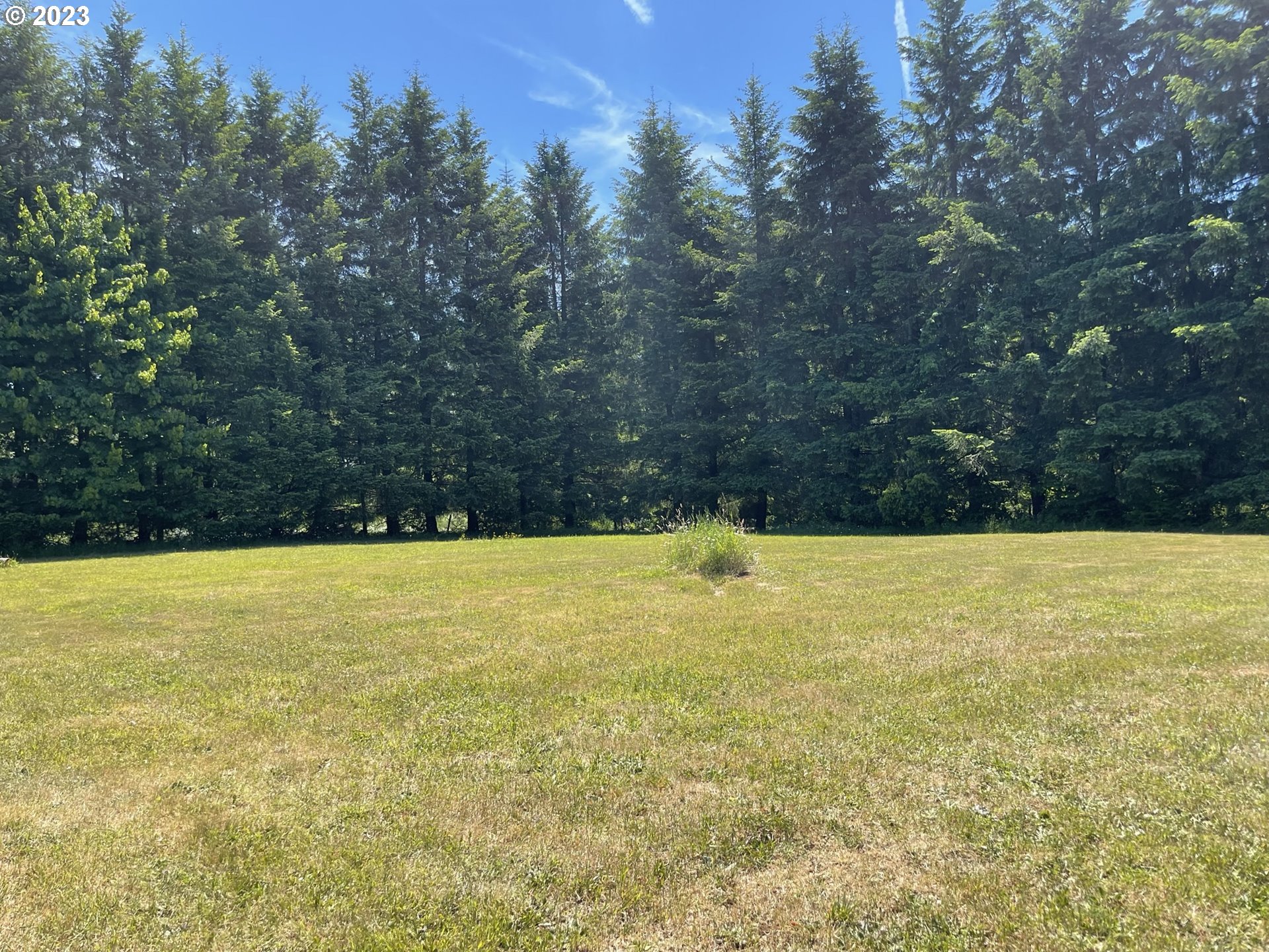38971 Southeast Rude Road Sandy, OR 97055 - Photo 13 of 46 a view of an outdoor space and a yard