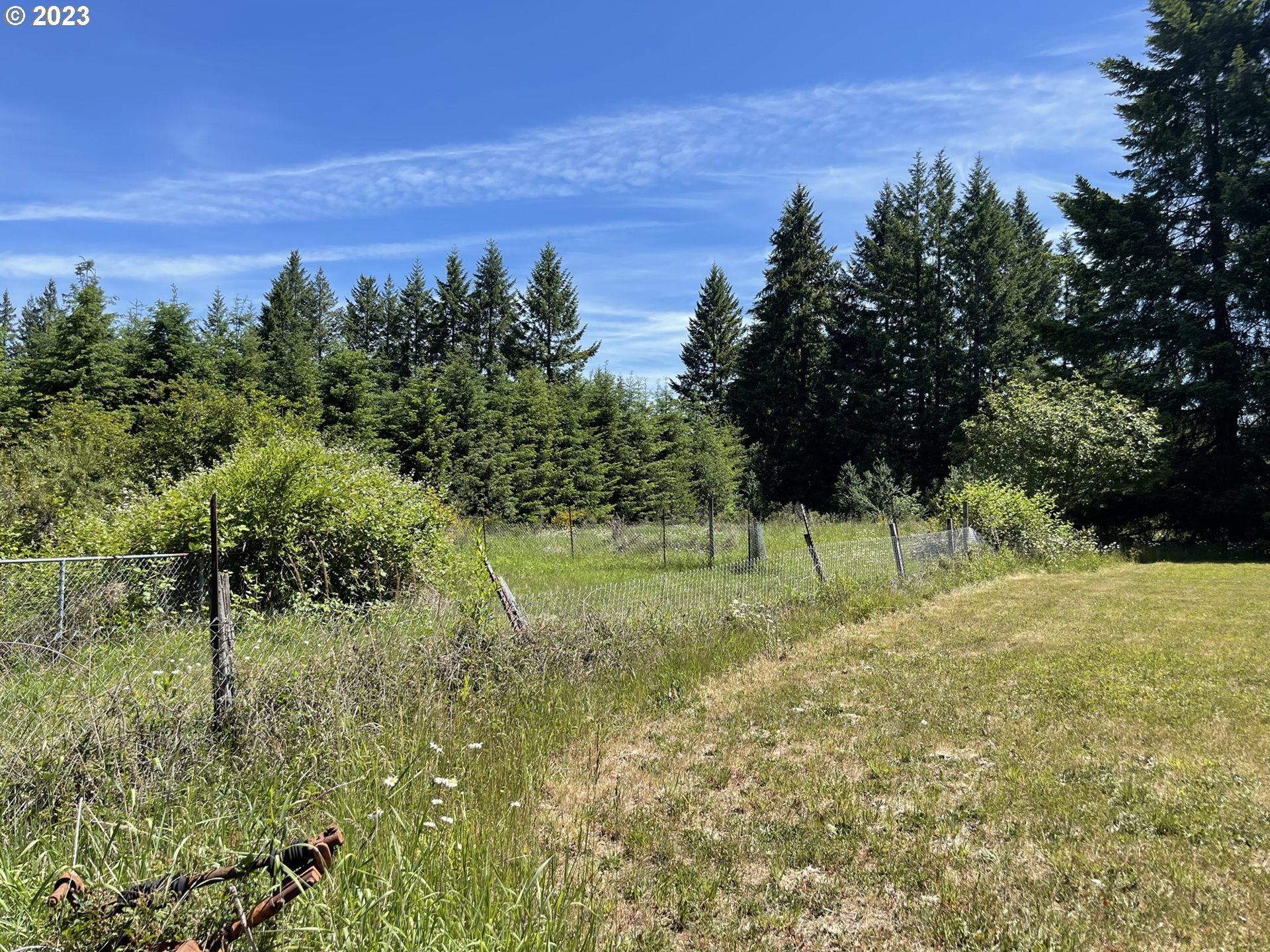 38971 Southeast Rude Road Sandy, OR 97055 - Photo 14 of 46 a view of a field with trees in the background