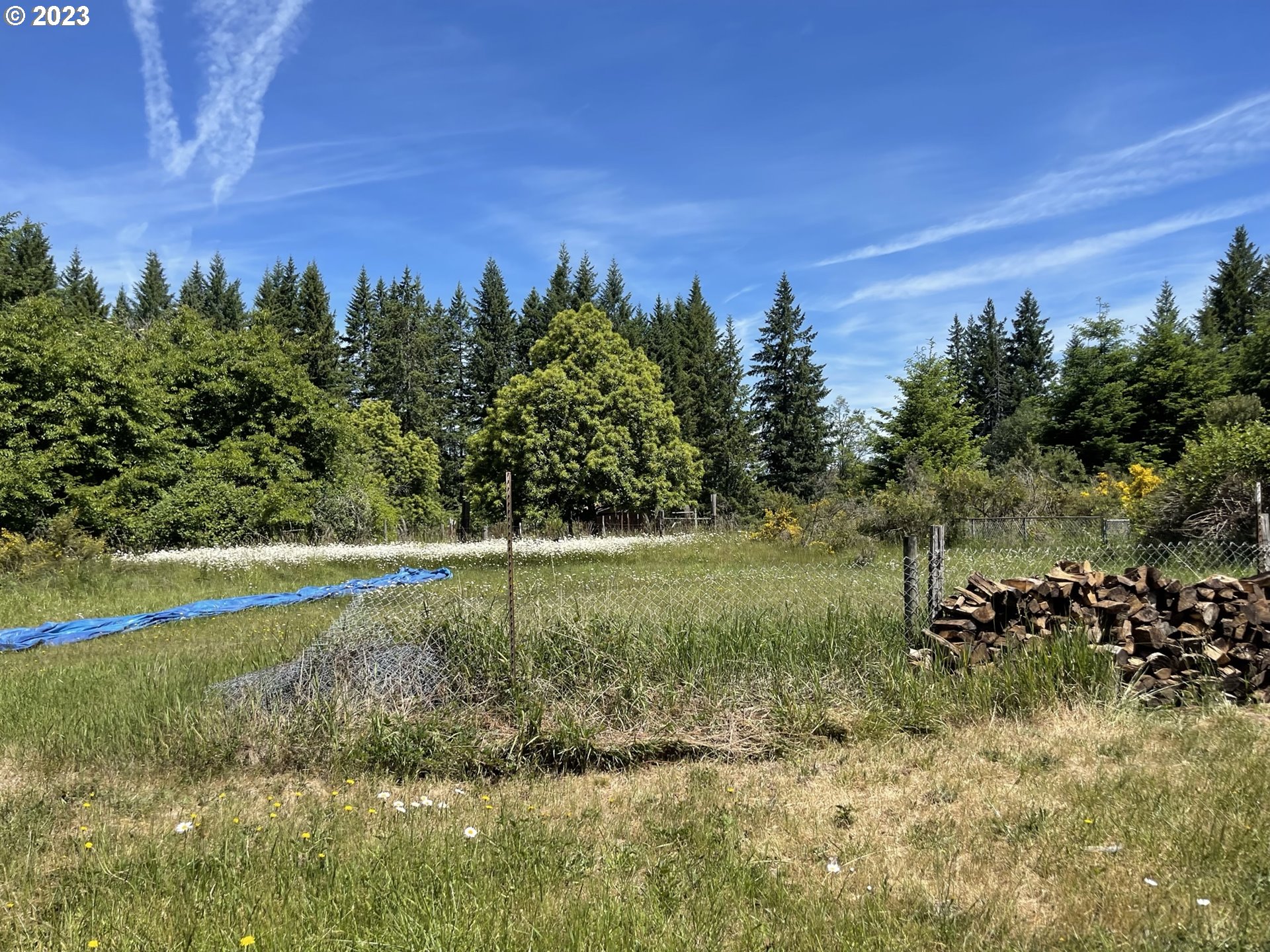 38971 Southeast Rude Road Sandy, OR 97055 - Photo 18 of 46 a view of a field with large trees