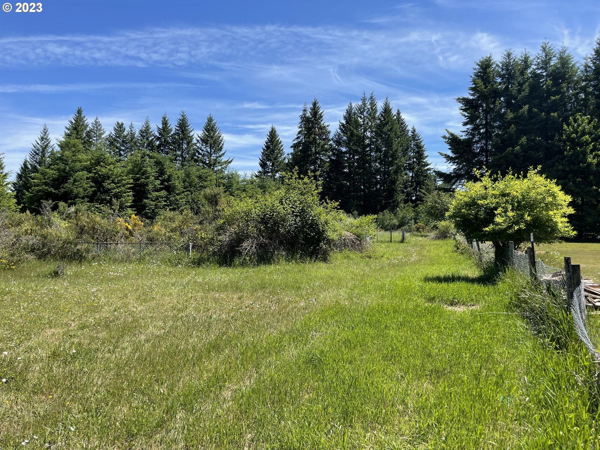 38971 Southeast Rude Road Sandy, OR 97055 - Photo 3 of 46 a view of a garden with a tree in the background