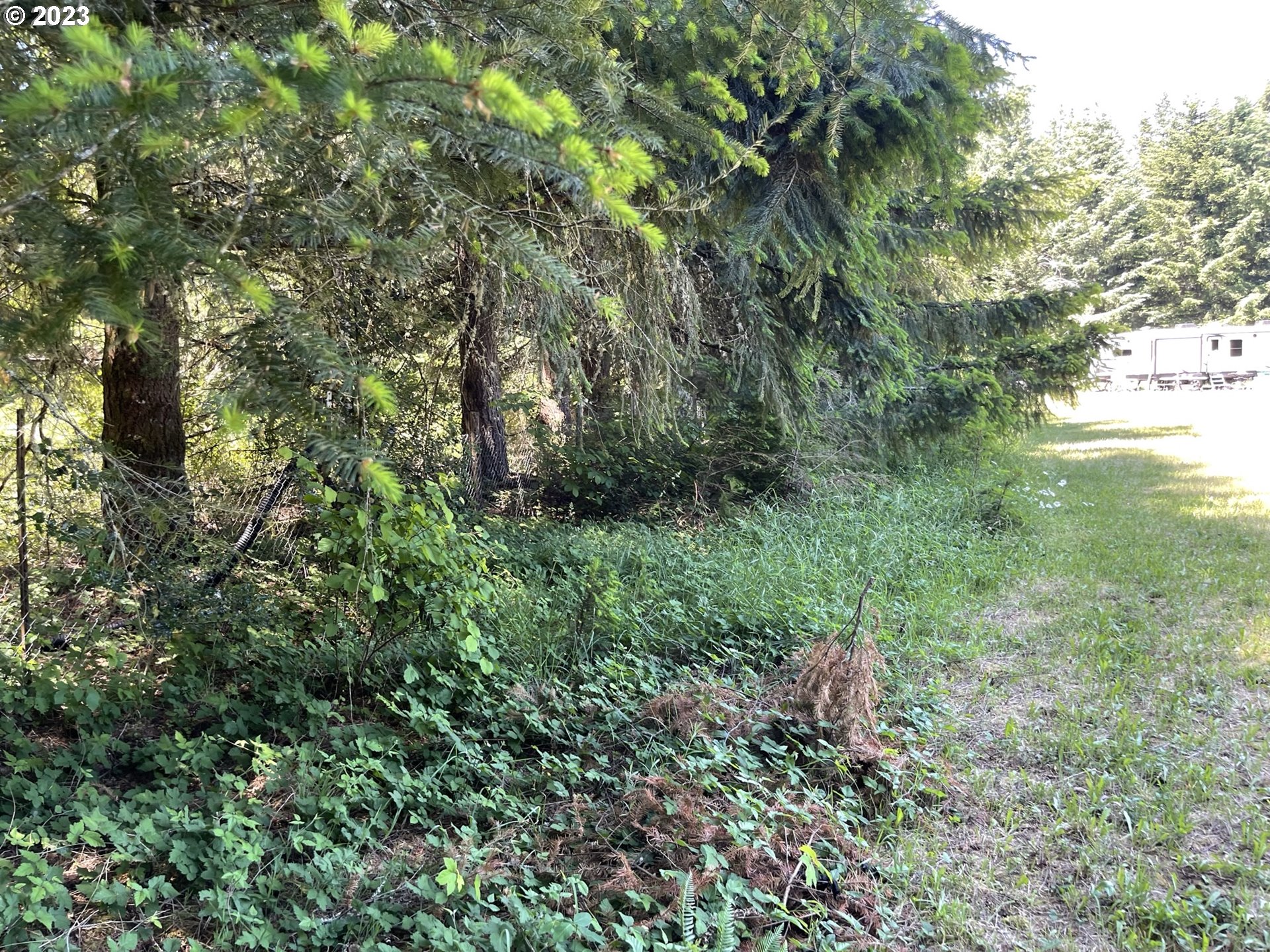 38971 Southeast Rude Road Sandy, OR 97055 - Photo 8 of 46 a view of a garden with a tree