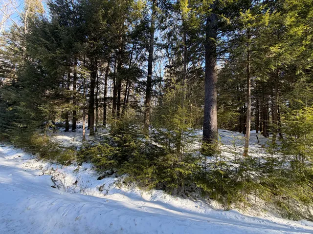 $150,000 | 10 Merriman Drive, Unit 10, Bethel, ME 04217