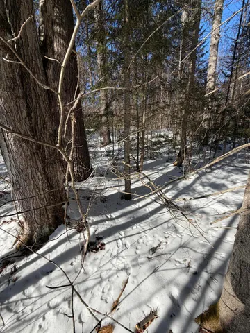 $150,000 | 10 Merriman Drive, Unit 10, Bethel, ME 04217