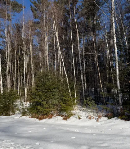 $150,000 | 10 Merriman Drive, Unit 10, Bethel, ME 04217