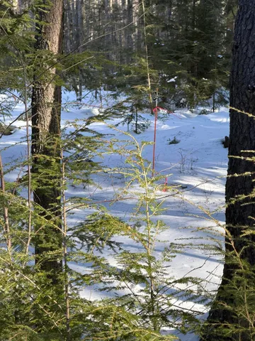 $150,000 | 10 Merriman Drive, Unit 10, Bethel, ME 04217