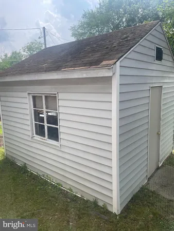 a view of a yard with plants and a large tree