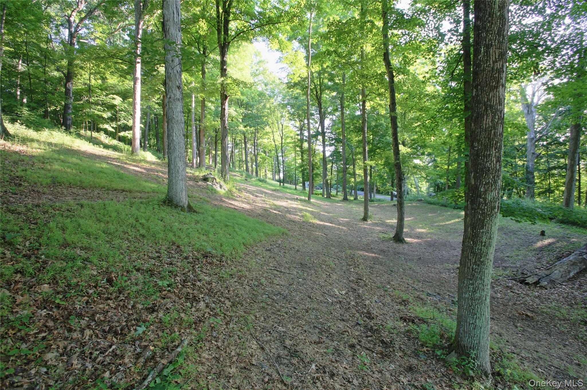 Pond Road Rhinebeck, NY 12572 - Photo 13 of 17 Gallery Image 13