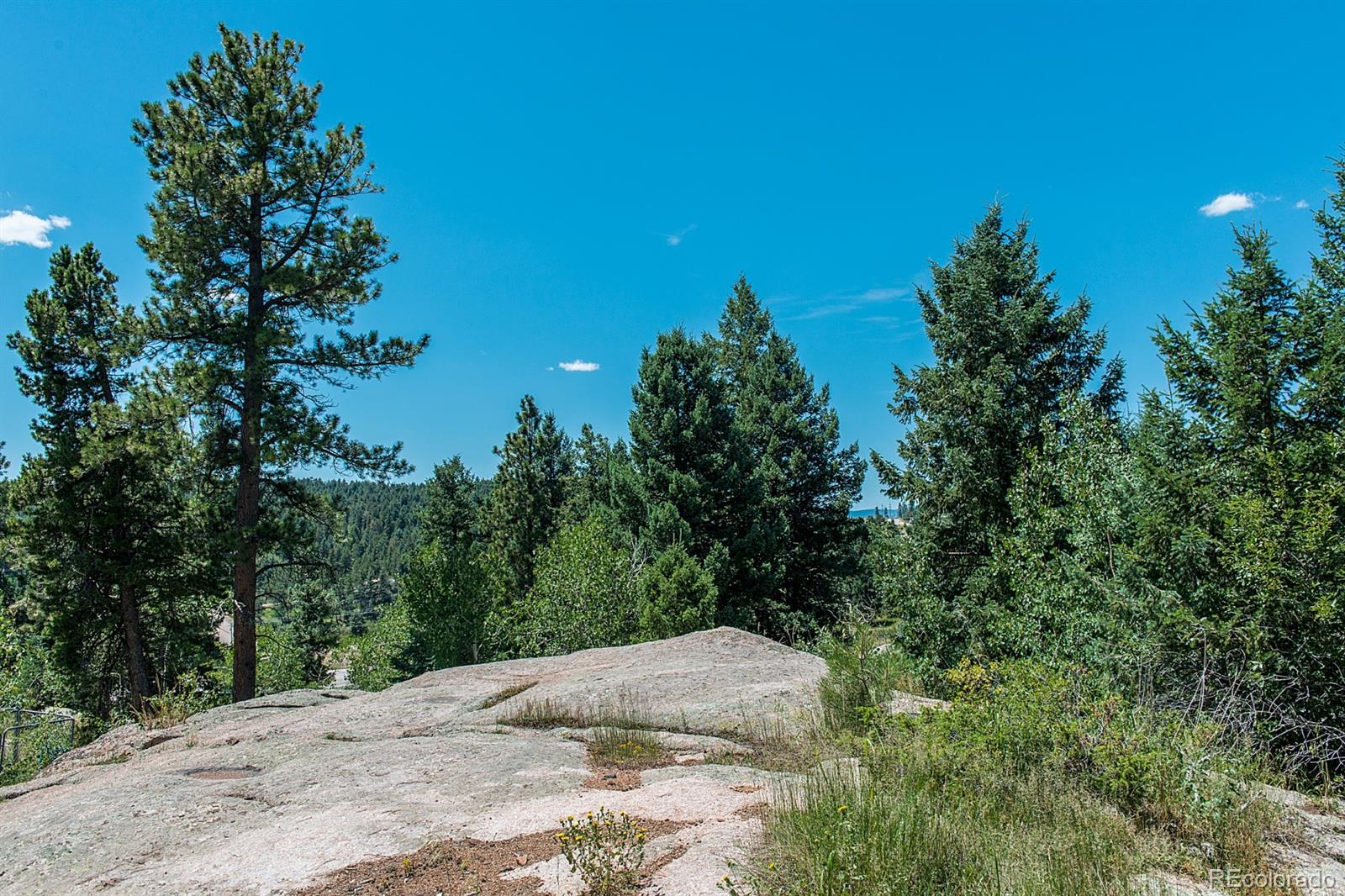 28530 Mountain View Road Conifer, CO 80433 - Photo 23 of 29 Gallery Image 23