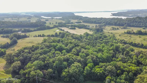 $80,000 | Brethren Church Road, White Pine, TN 37890