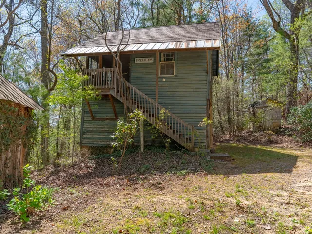 a view of a backyard with plants and large trees
