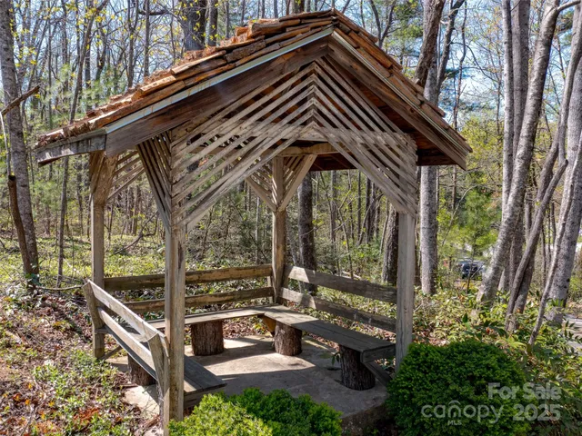 a view of a yard with plants and large trees