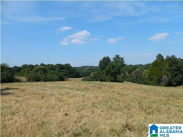 9545 Bankston Road Dora, AL 35062 - Photo 3 of 4
