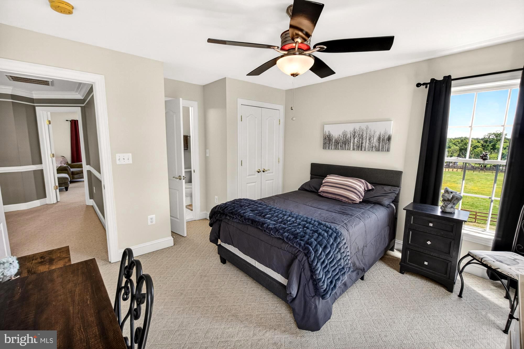 15512 Mount Nebo Road Poolesville, MD 20837 - Photo 79 of 125 Bedroom #3